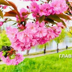 Прогноз погоди на 6 травня