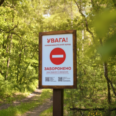 Киевлянам запрещено посещать леса из-за пожарной угрозы