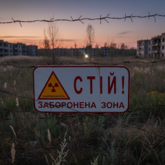 Схема незаконного вирощування соняшнику в зоні Чорнобиля