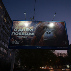 Банер з орангутаном відновили в Новосибірську