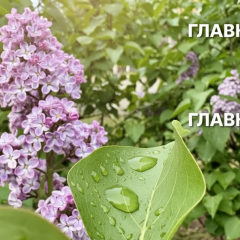 Прогноз на 11 травня від Укргідрометцентру