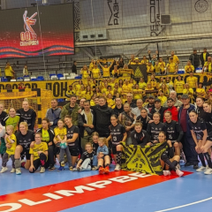 EHF отказалась комментировать матч