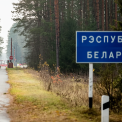 Forests near the border with Ukraine