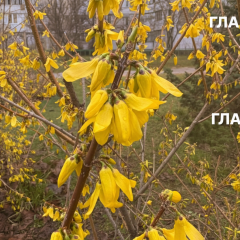 Небо над Києвом з грозами