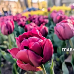 Прогноз погоди в Україні змінюється