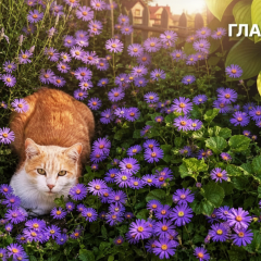Грозы и дожди 31 мая