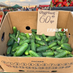 Огурцы и горох по сниженным ценам
