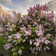 Temperature records in Kyiv in May