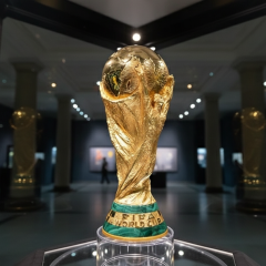 Тренеры обсуждают фаворитов ЧМ-2026