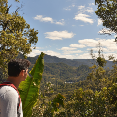 Faye Launches Digital Travel Insurance for Modern Explorers