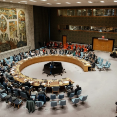 Emergency meeting of the UN Security Council