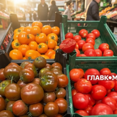 Tomato prices dropped by 15%