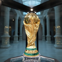 Ukraine vs Sweden football match