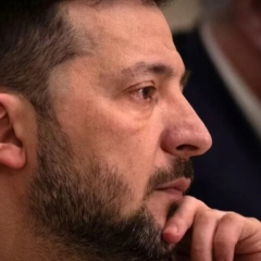 Трамп і Зеленський обговорюють мирний план