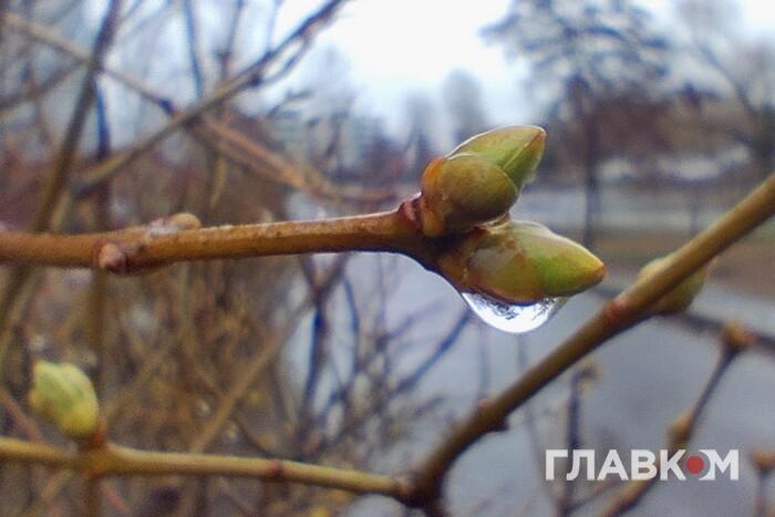 Погода на 16 травня: нічні заморозки не полишають Україну