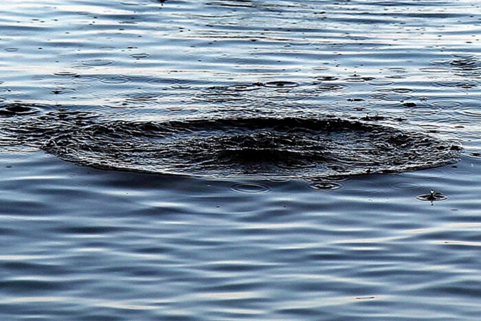 Фото водоема с погибшими людьми