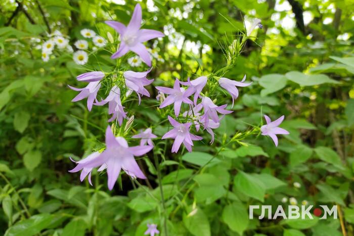 Место разрушительного града после кратковременного дождя