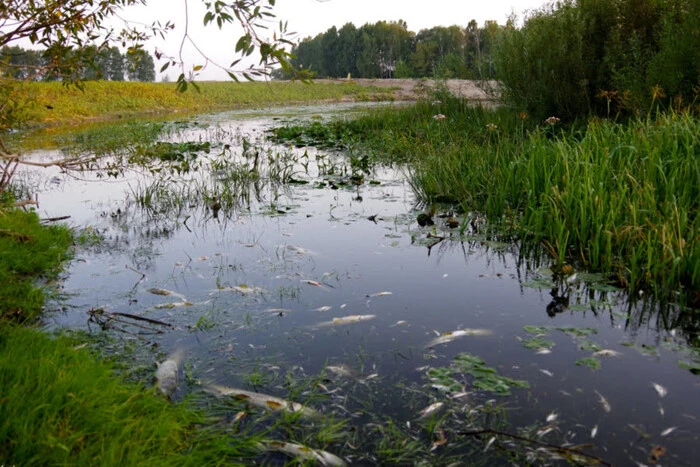 Загрязнение Десны: подготовка к ухудшению качества воды