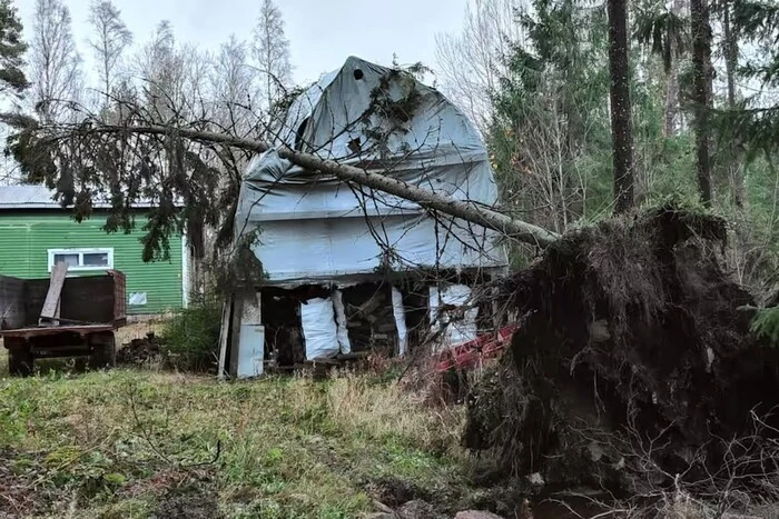 In Финляндии впервые зафиксирован ураган. Непогода оставила без электричества тысячи домов