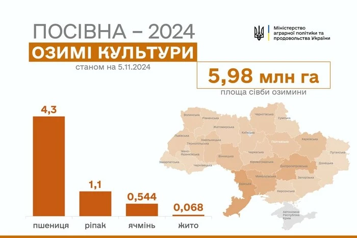 Засіяні поля з озимими культурами в Україні