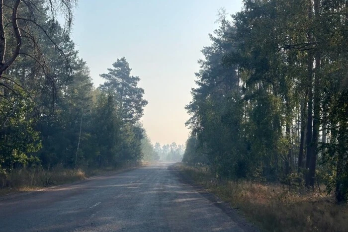 Пожежники в Чорнобильській зоні гаснять вогонь