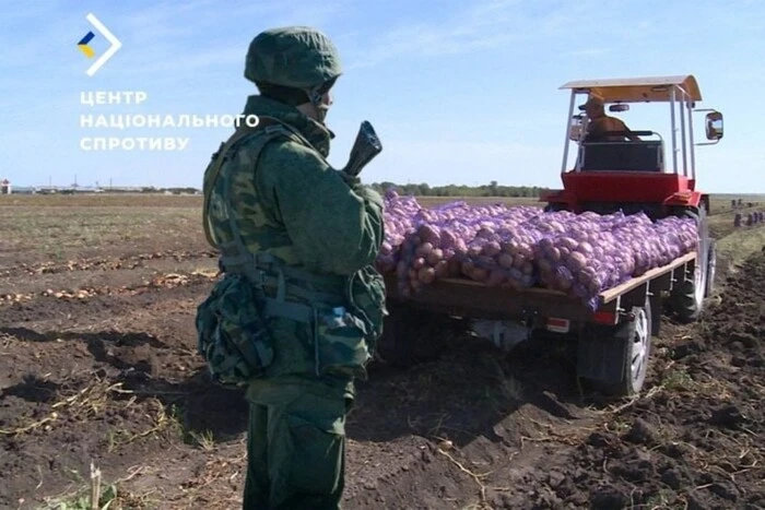 Розкрадають урожай на Херсонщині