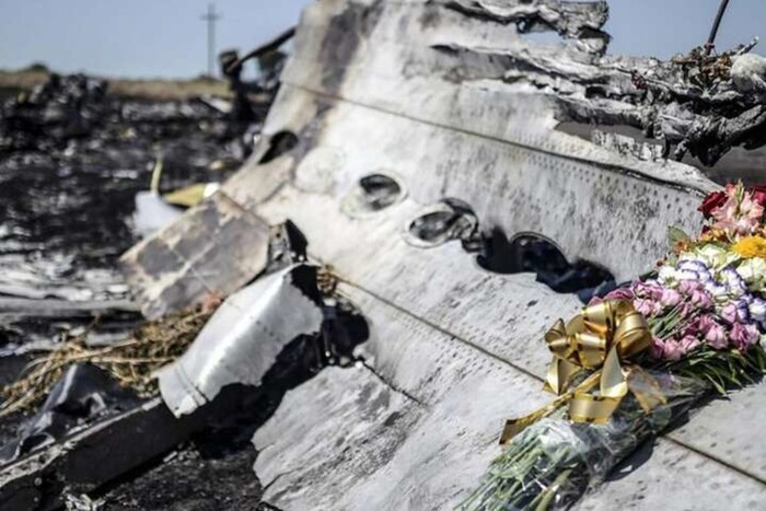 Фото самолета МН17, сбитого над Донбассом