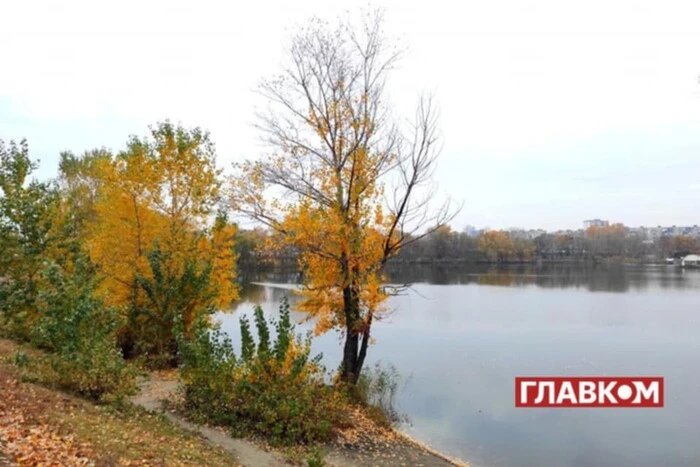 Листопад арбуза лежит на столе