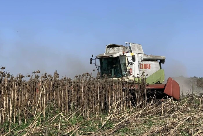 Скиба на полях с гранума і озимі