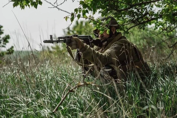 ЗСУ на позиціях під Покровськом