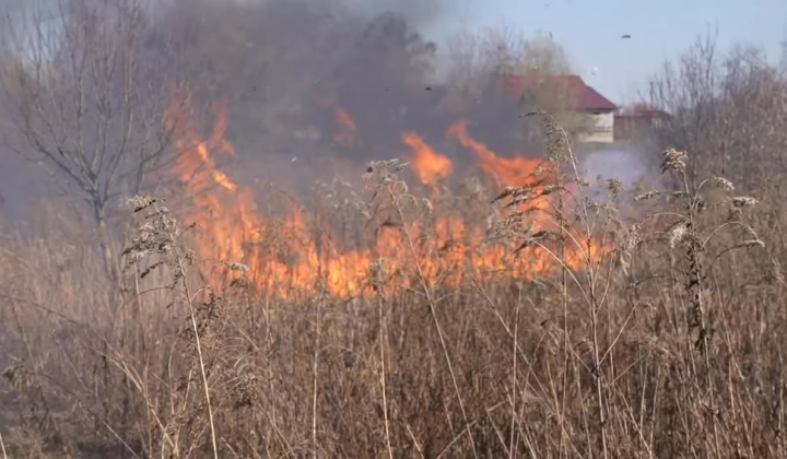 Fire in Volyn: flames spread towards buildings
