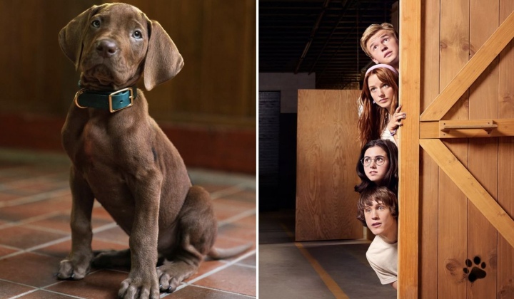 Логотип Netflix і напис Scooby-Doo Origins