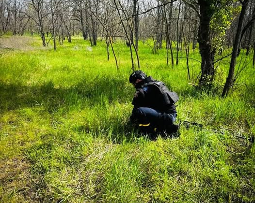 Minefield on liberated territory