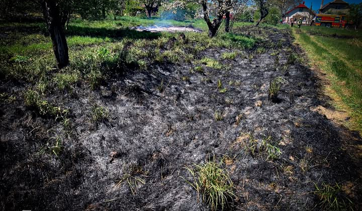 Жінка з опіками від підпалу трави