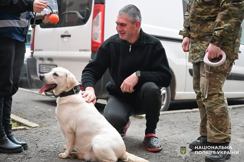 Лабрадор Умка допомагає захисникам