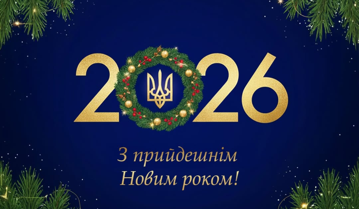 Финансовая устойчивость Украины 2025