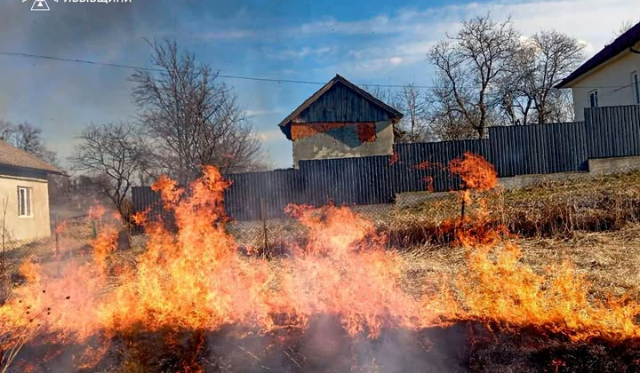 Fire destroyed over 92 thousand hectares