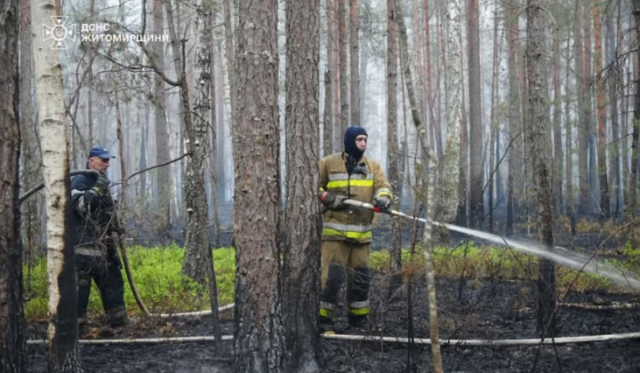Ліквідація пожежі в заповіднику на Житомирщині