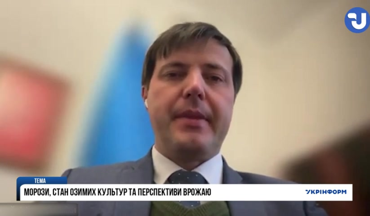 Озимі культури під впливом морозів