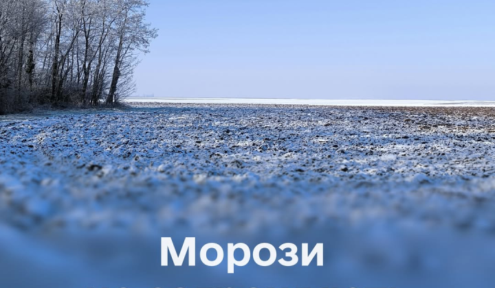Посевы озимых культур в Украине