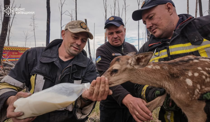 Рятувальники винесли з вогню двох оленят