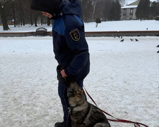 Первые испытания спасательных щенков ГСЧС