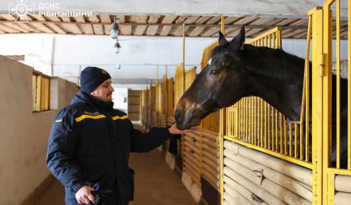 Психологи допомагають рятувальникам Рівного: іпотерапія