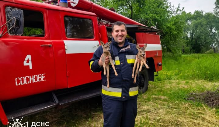 Два оленят в руках рятувальників