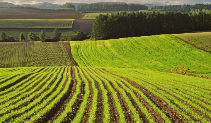 Image of the Land Cadastre of Ukraine