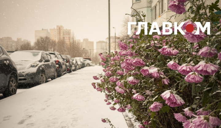Теплая зимняя погода в Киеве