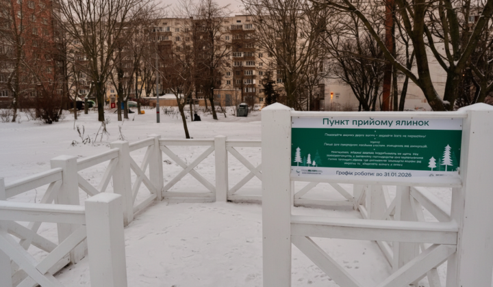 Пункти утилізації ялинок у Києві