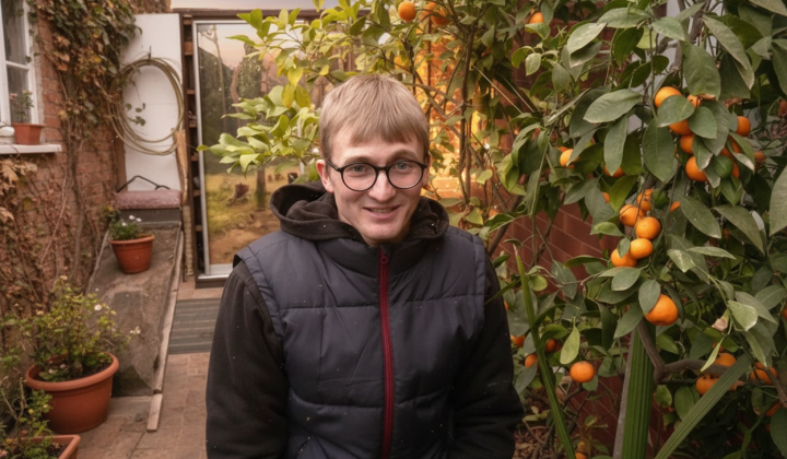Record harvest of mandarins on the veranda