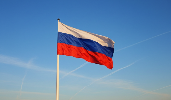 Nationalization of property in Russia 2025