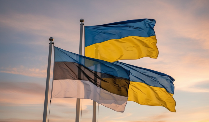 Допомога Україні: генератори та гармати